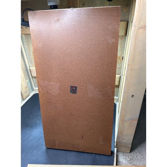 Framed Butterfly Display With Gold Frame & Natural Dried Stalks - Picture 15 of 16